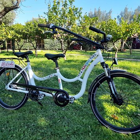 Fili D'Erba Cilento Villa Villammare Eksteriør billede
