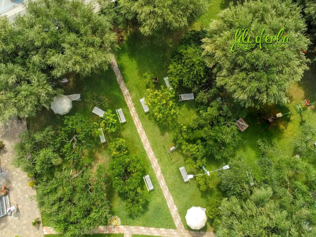 Fili D'Erba Cilento Villa Villammare Eksteriør billede