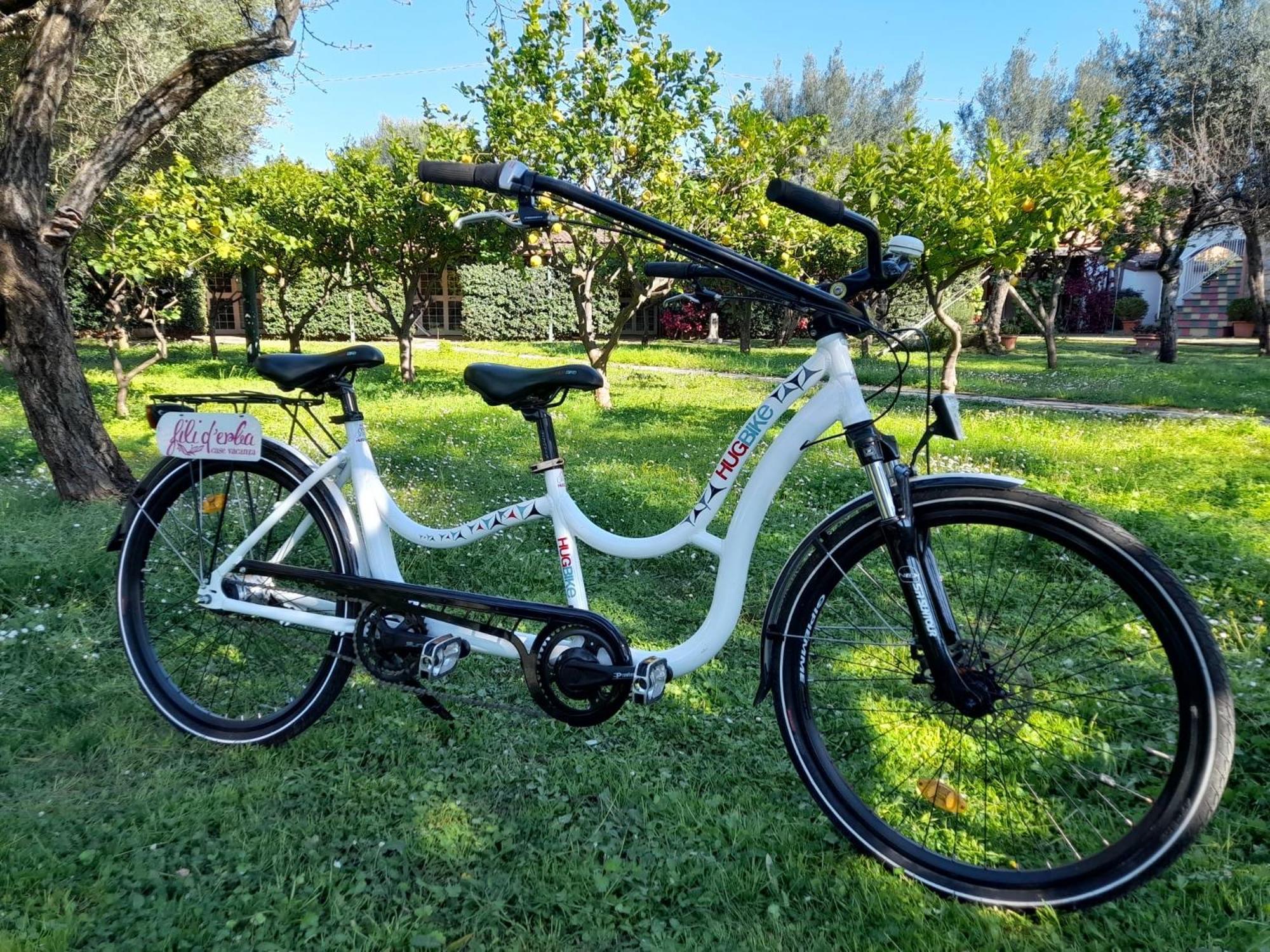 Fili D'Erba Cilento Villa Villammare Eksteriør billede
